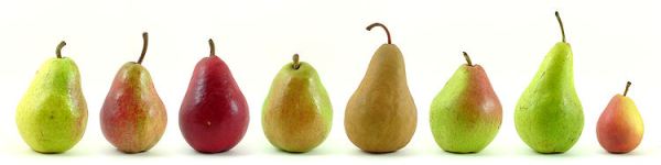 750px-eight_varieties_of_pears1.jpg