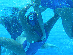 1185710271-250-ITA-Aiello.jpg